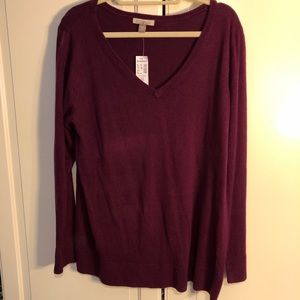 NWT lightweight sweater